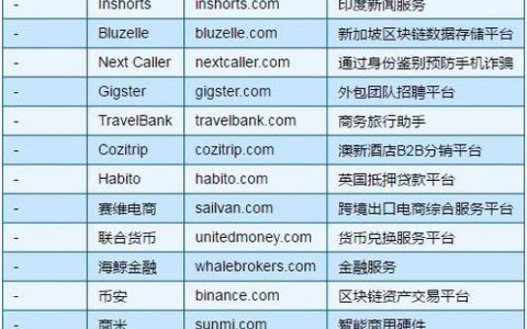 哪个平台是注册国际域名的首选？