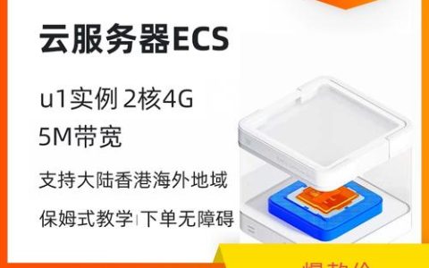 ecs云服务器的多功能性，它究竟能实现哪些任务？