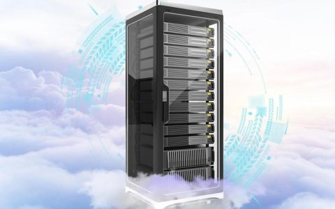 探索中国市场上的主要云服务器选项有哪些？