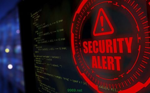 漏洞论坛，如何确保网络安全与用户信任的平衡？