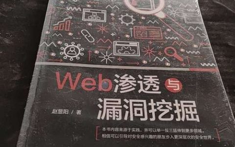 如何有效地进行Web漏洞挖掘以确保网络安全？