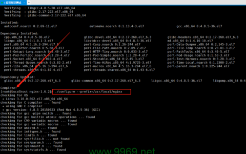 如何在Linux环境下启动Nginx服务？