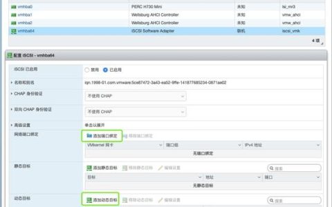 如何在Linux系统中挂载SAN存储设备？