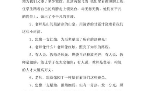 CDN如何被形象地比喻以揭示其功能和重要性？