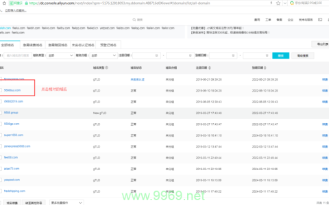 如何高效进行批量域名解析查询并导出记录？