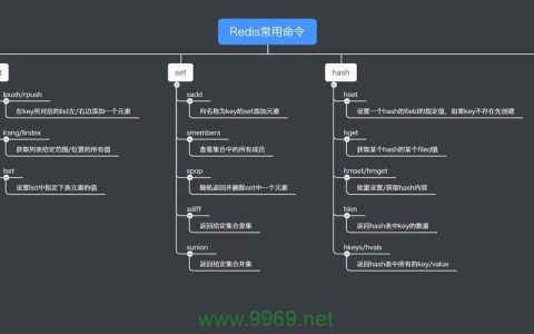 如何使用Redis命令查询代理服务器的值？