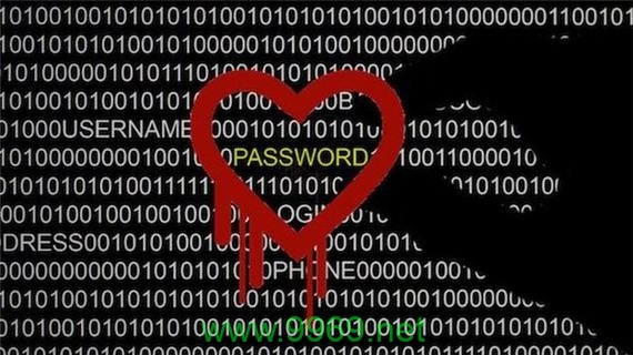 关于政府工作,我们应如何进一步提升效率和透明度?插图 关于政府工作,我们应如何进一步提升效率和透明度?插图