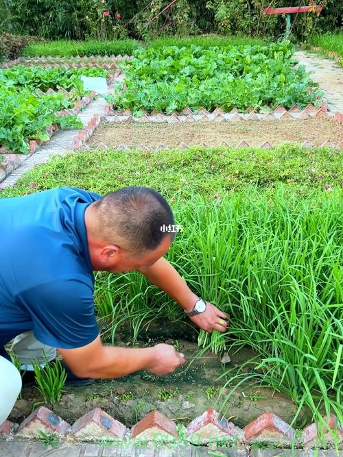如何识别并避免CDN服务中的隐藏费用?插图1 如何识别并避免CDN服务中的隐藏费用?插图1