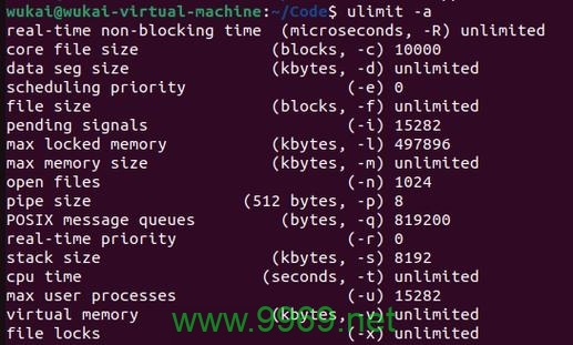 为什么Linux系统不产生core文件?插图 为什么Linux系统不产生core文件?插图