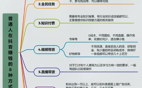 如何在抖音CDN上实现盈利？