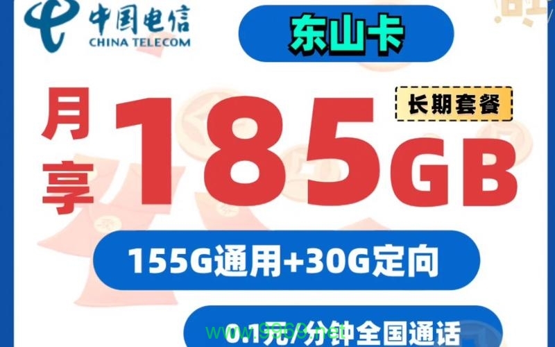 什么是山东地区的专用纯上网流量卡?插图 什么是山东地区的专用纯上网流量卡?插图