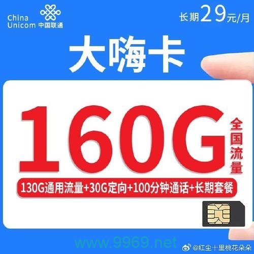 大宝卡如何影响淘宝店铺的流量增长？插图1