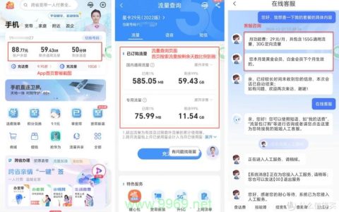 洛丽塔流量卡，为何成为众多用户的首选？