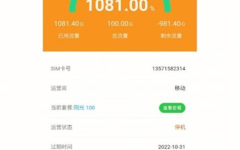 如何有效管理和使用一千G流量卡以最大化其价值？