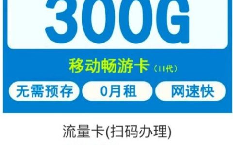 如何为iPad办理流量卡服务？