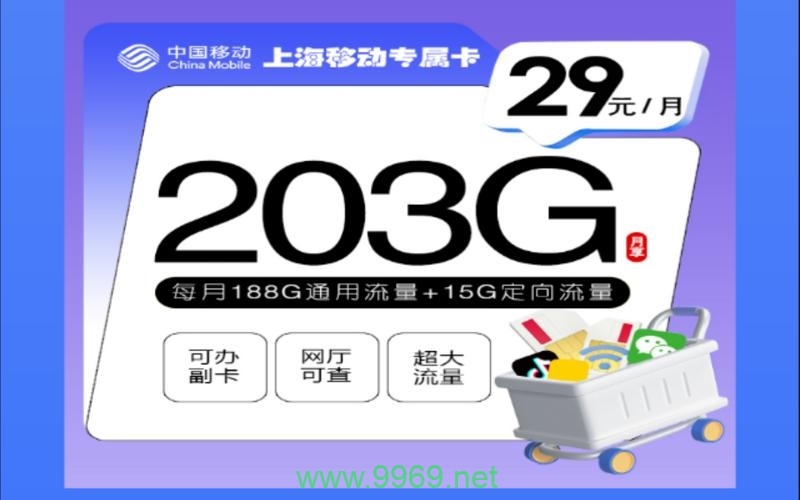 移动动感卡大流量卡插图 移动动感卡大流量卡插图
