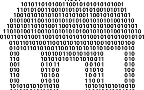 如何在Python中实现二进制数的乘法运算？