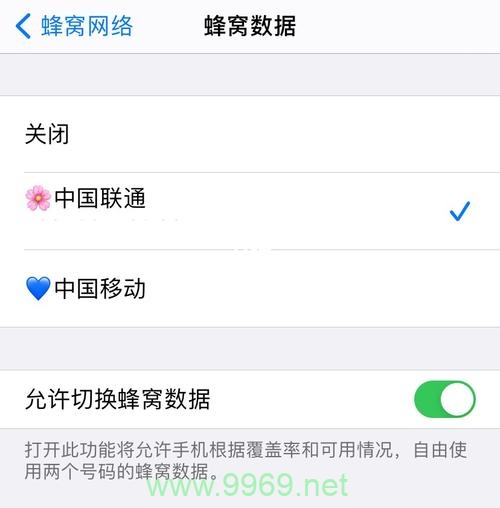 买苹果卡怎么使用流量卡插图2 买苹果卡怎么使用流量卡插图2