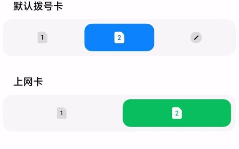 苹果双卡怎么停卡流量