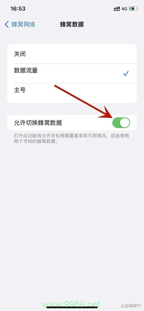 苹果双卡怎么停卡流量插图2