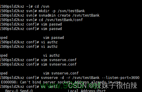 如何在Linux上为SVN配置密码保护?插图2 如何在Linux上为SVN配置密码保护?插图2