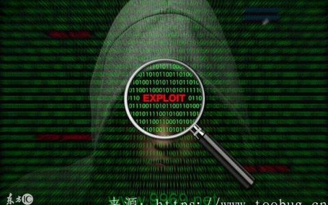如何有效进行Web漏洞挖掘以增强网络安全？