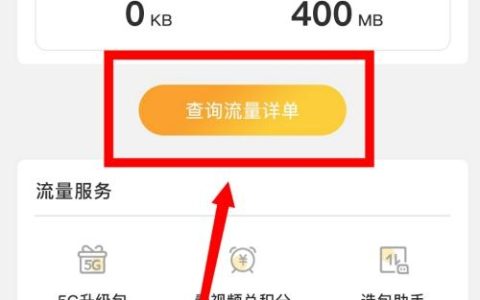 电信卡如何查看副卡流量