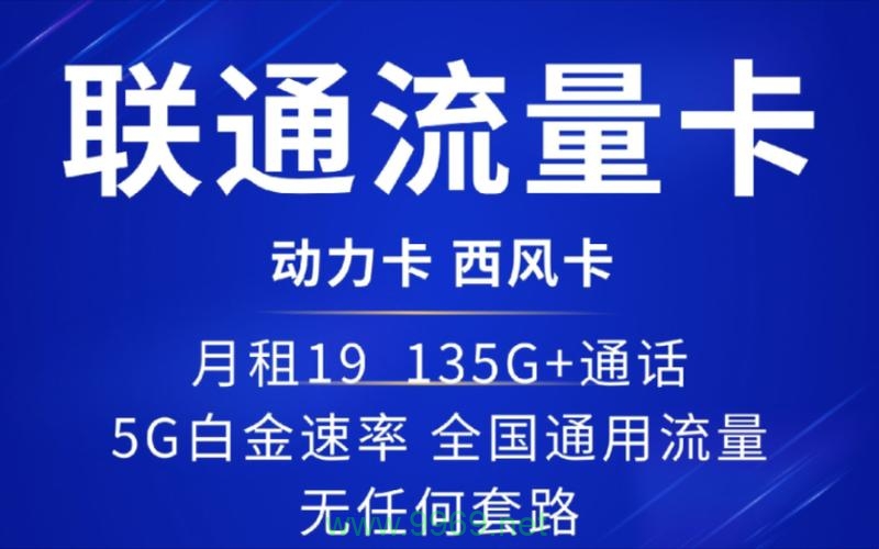 联通流量卡盛夏卡区别插图2