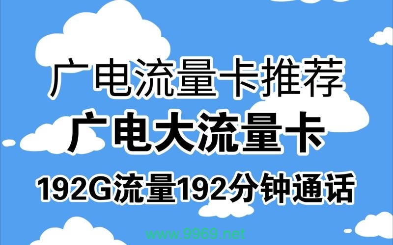 流量卡办俩张副卡插图