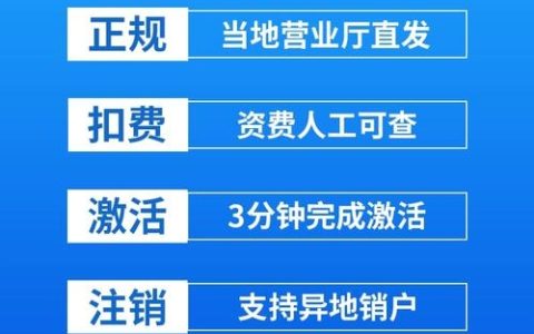 大王卡网卡流量卡怎么用