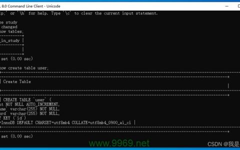 如何使用PHP和MySQL创建一个新的数据库？