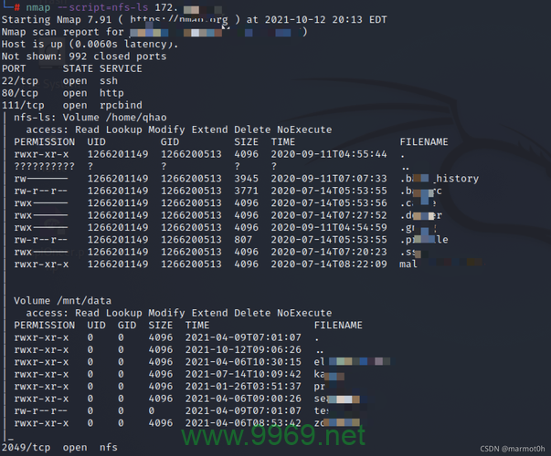 NFS漏洞,网络文件系统安全风险究竟有多严重?插图2 NFS漏洞,网络文件系统安全风险究竟有多严重?插图2