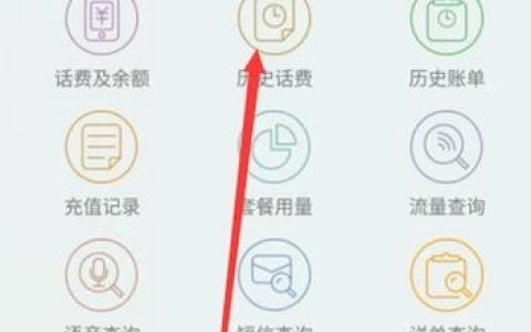 电信卡怎么锁住副卡流量