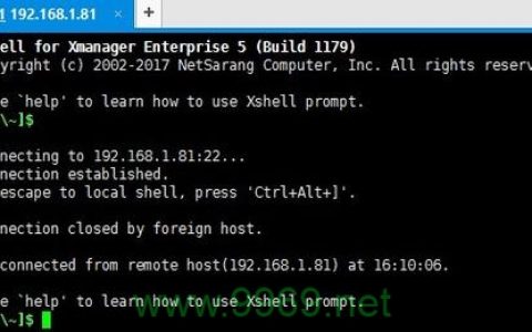 为什么无法通过SSH登录到Linux系统？