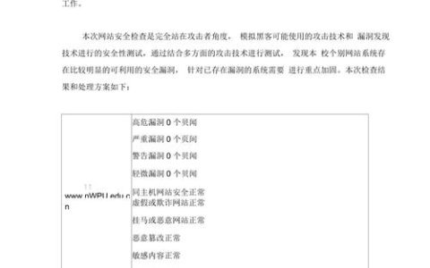 如何识别并解决报告中的漏洞问题？