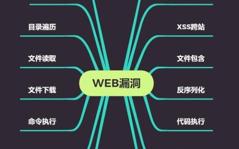 如何有效利用漏洞，安全风险与机遇的平衡术？