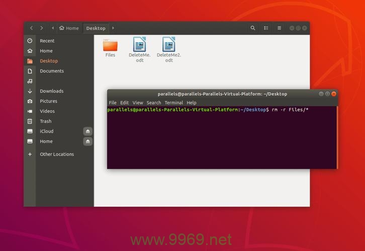 如何在Linux中使用FTP命令删除文件？插图1