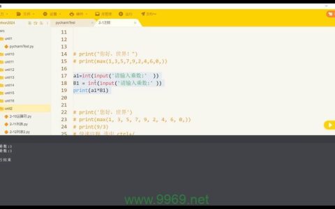 如何正确使用Python 2中的注释功能？
