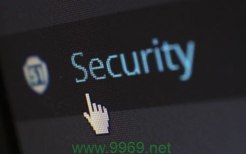 如何高效扫描网站漏洞以提升网络安全？