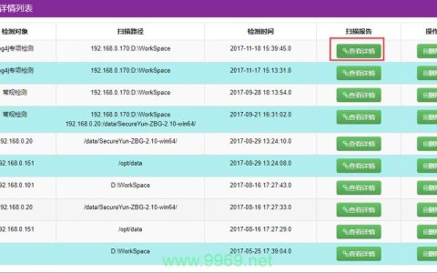 如何确保软件漏洞检测的全面性和有效性？