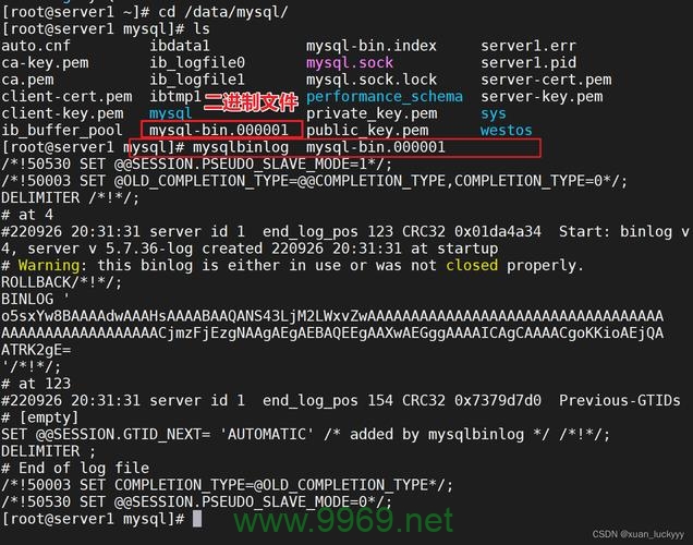 如何在Linux环境下使用PHP加载和操作MySQL数据库？插图2
