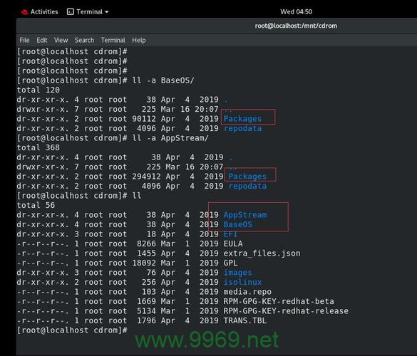 如何在 Linux 中使用 YUM 安装 DNS 服务？插图2