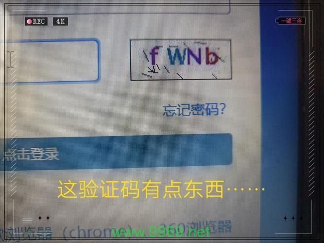 如何在PHP中快速生成验证码?插图 如何在PHP中快速生成验证码?插图