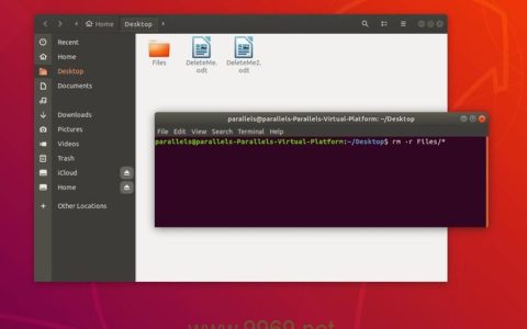 如何在Linux系统中远程删除文件？