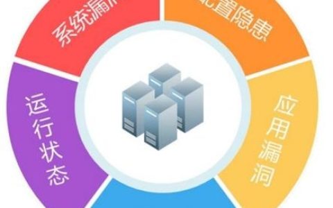 如何有效进行数据库漏洞扫描以确保数据安全？