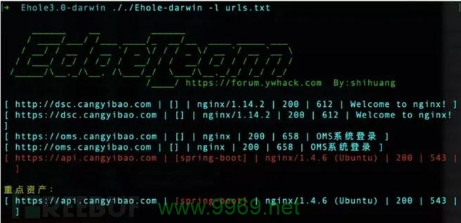 域名漏洞揭示了哪些网络安全风险，我们如何防范？插图1