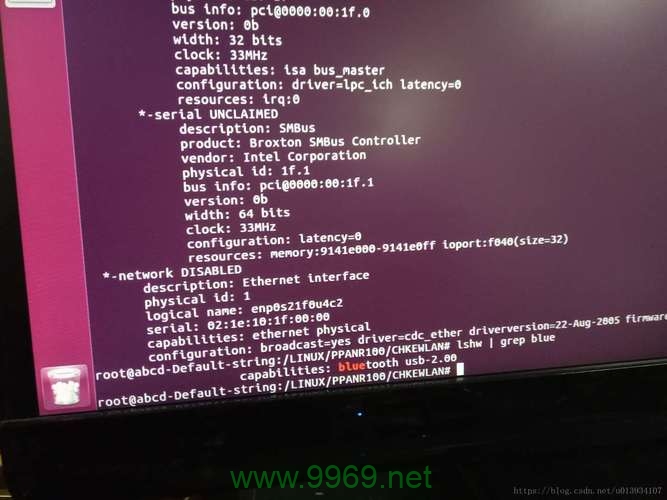 为什么Linux网络被禁用了？插图1