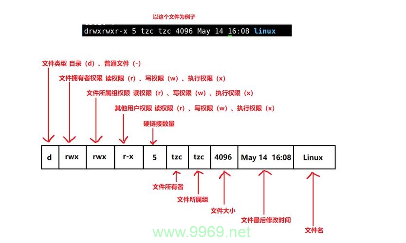 如何理解和管理Linux Shell中的文件权限？插图2
