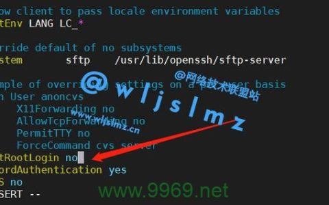 为何无法使用SSH登录到Linux系统？